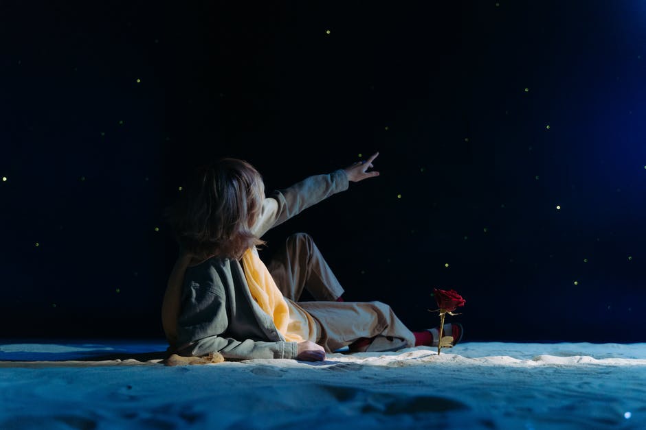 Kid wearing a costume The Little Prince by Antoine de Saint-Exupéry, pointing at stars in the sky, and lying on sand near a rose.